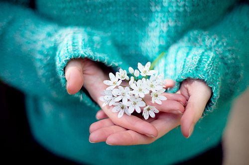 the beauty of gentleness