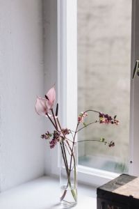 miracles are everywhere 